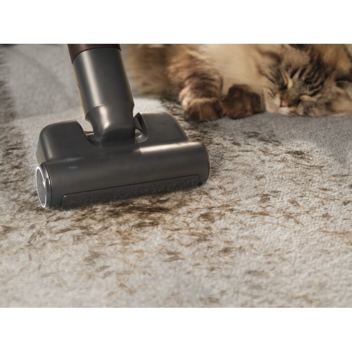 Pet+ nozzle easily removes fur from fabric and furnishings.